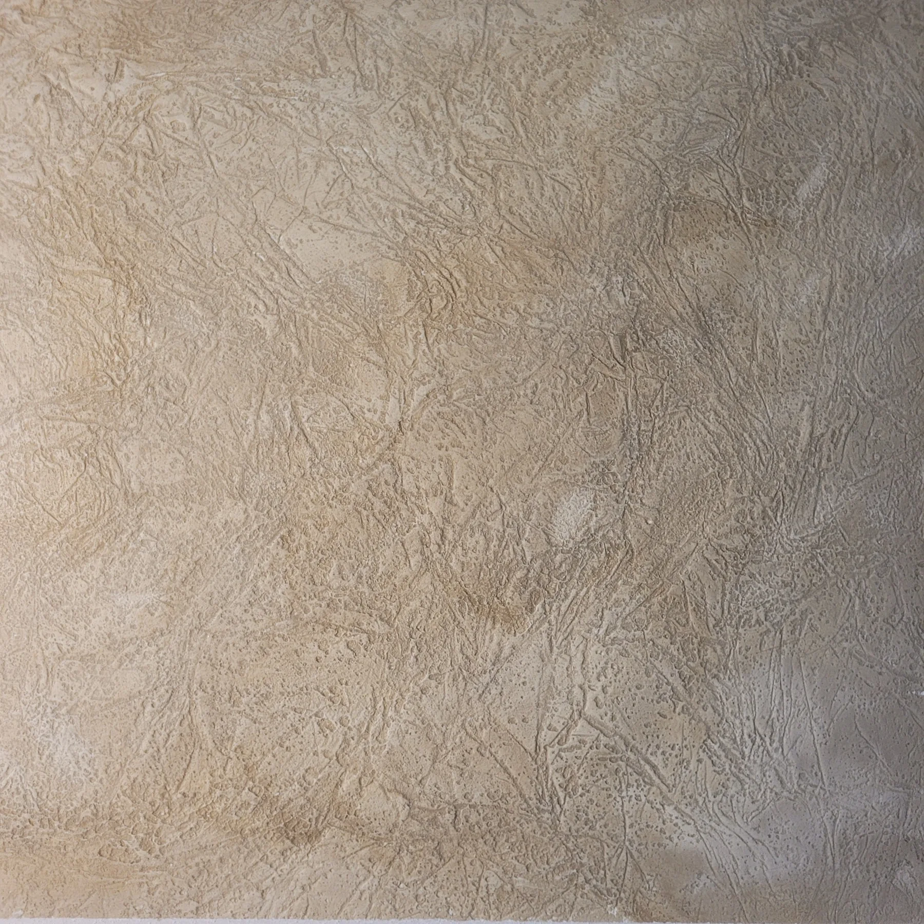 DINWORX surface study 10