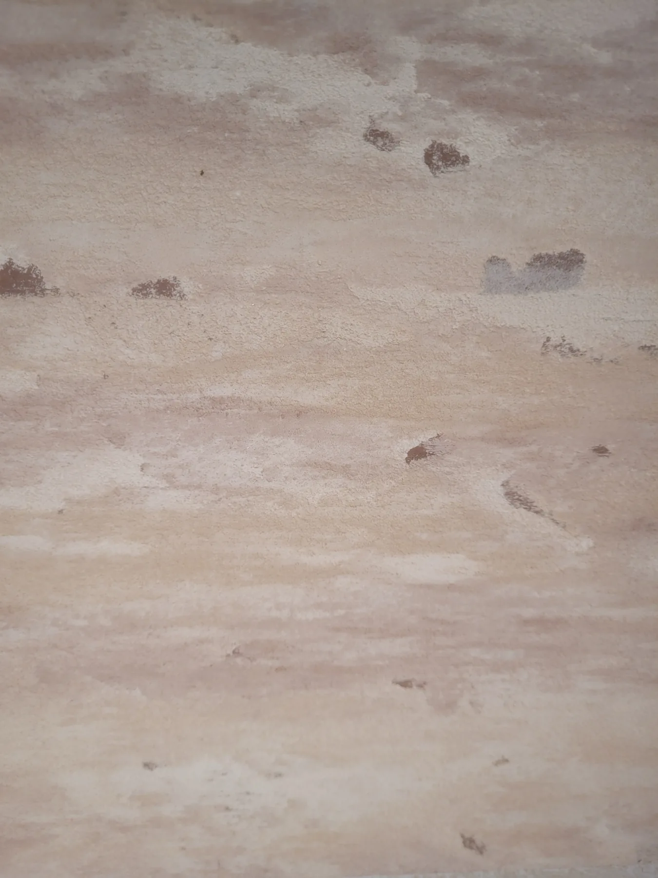 Decorative surface study