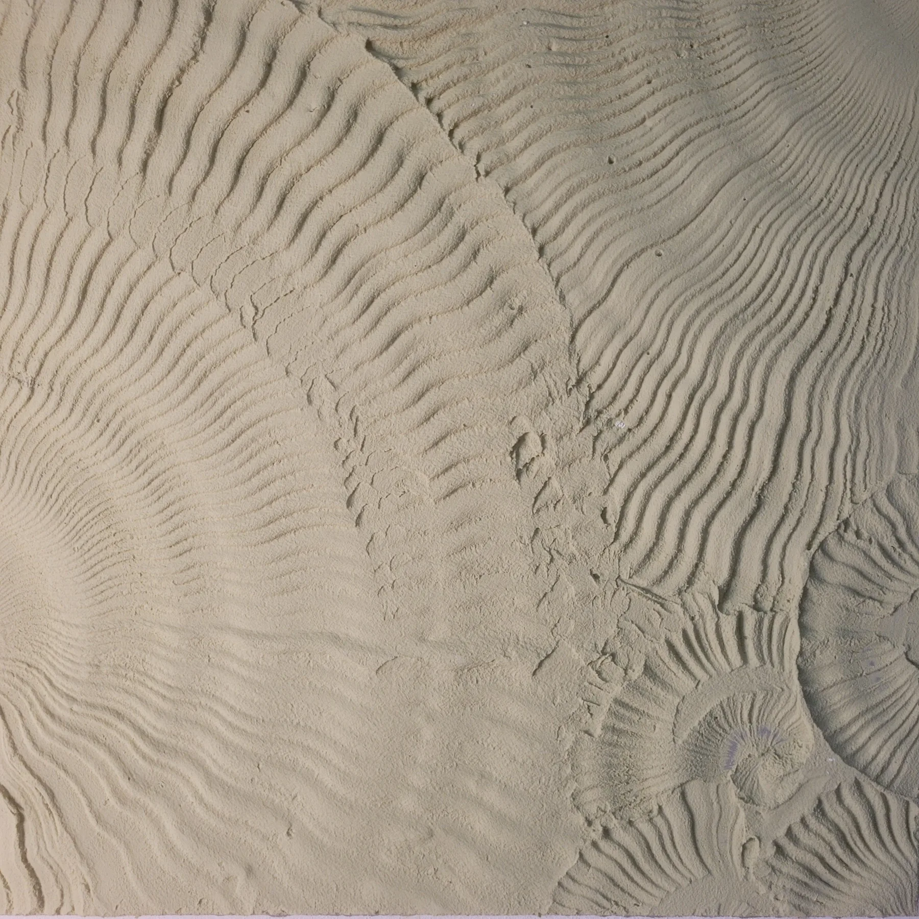 DINWORX surface study 19